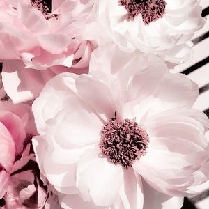 Meet your Posher, Brady